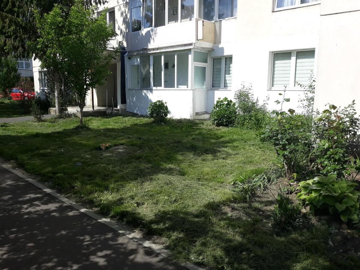 Sibiu Home 1 Bagian luar foto