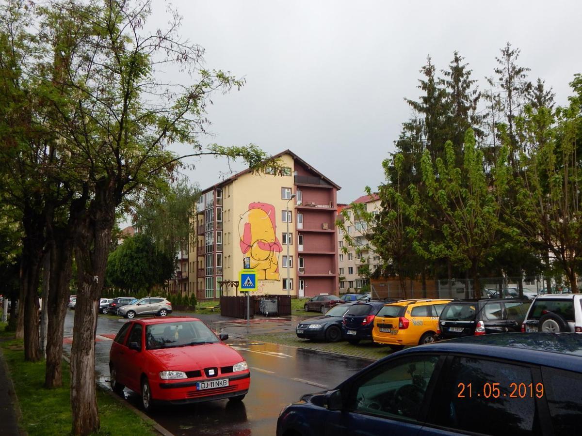 Sibiu Home 1 Bagian luar foto